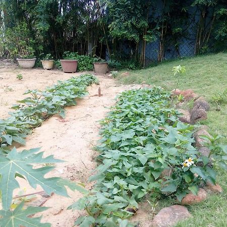 The Field Homestay Hội An Buitenkant foto